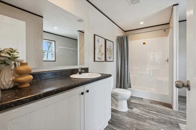 Apex bathroom home features